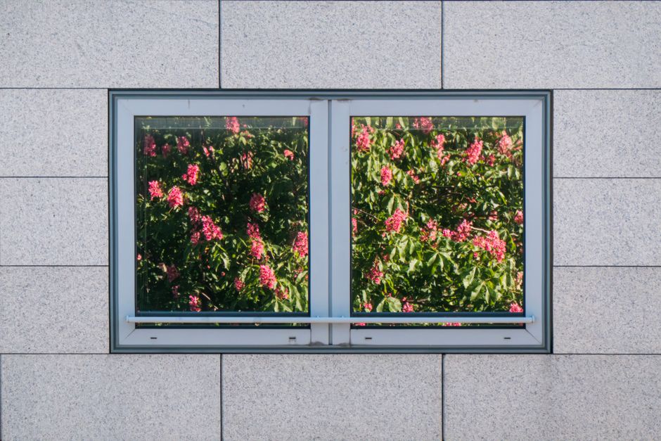 High-quality replacement windows with durable glass